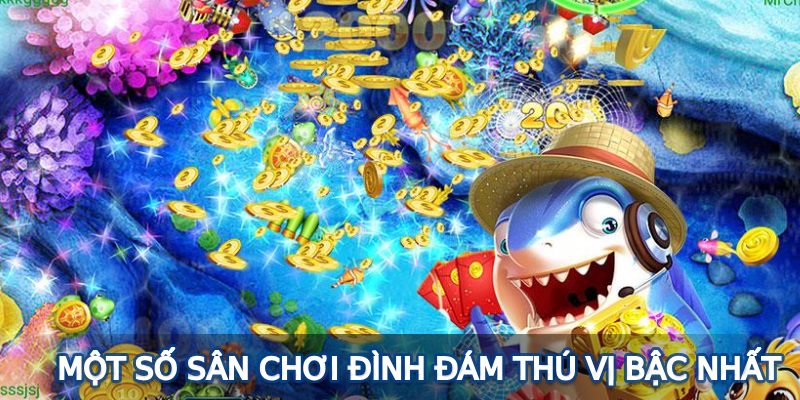 Một số sân chơi đình đám thú vị bậc nhất