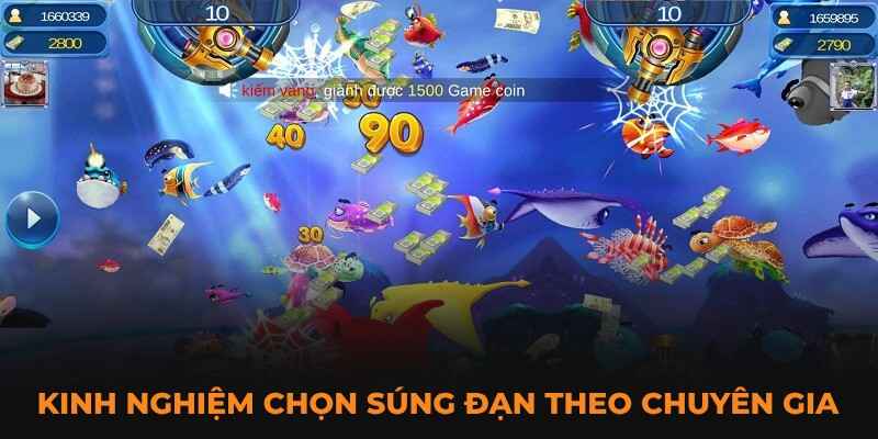 Kinh nghiệm chọn súng đạn theo chuyên gia