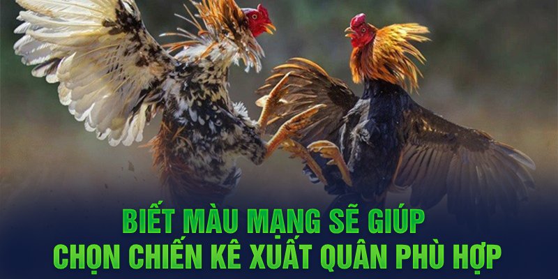 biet mau mang se giup chon chien ke xuat quan phu hop