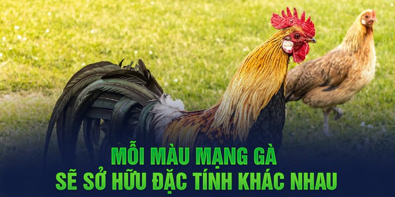 Mỗi màu mạng gà sẽ sở hữu đặc tính khác nhau